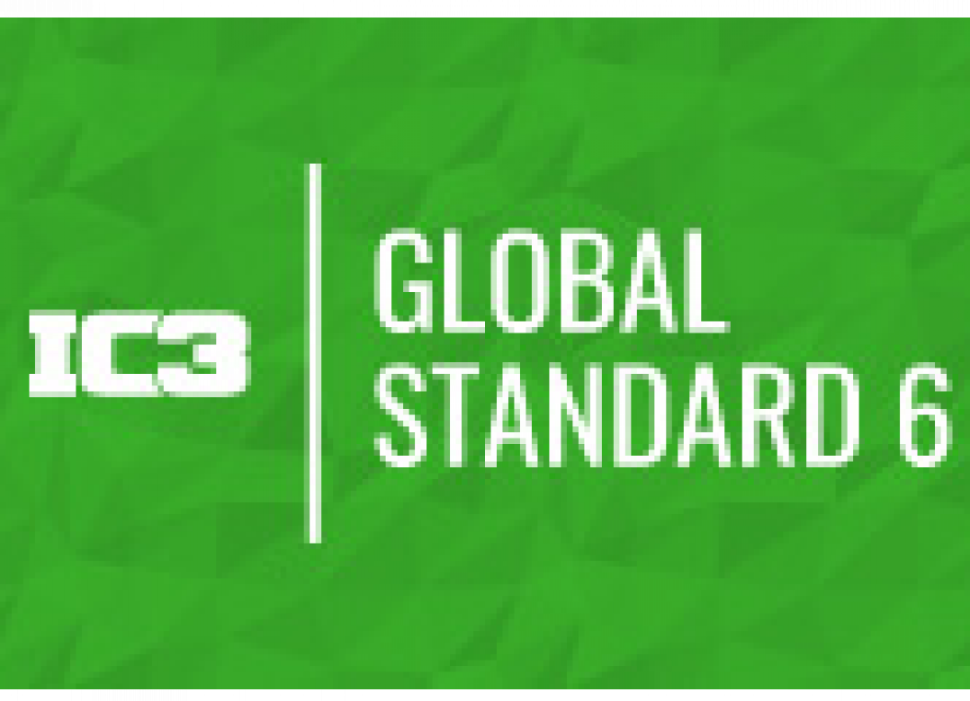 IC3 Global Standard 6 Level 3